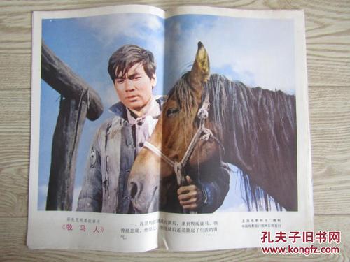 松山大学本科成绩单